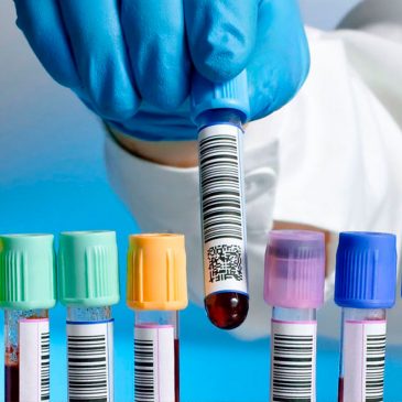 Beneficios Salud y Bienestar
